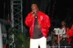 DSC_8248.jpg (52,221 bytes)